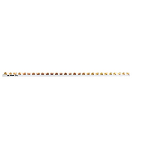 Bara alimentare lamele 2 poli, 10mm² Bara alimentare lamele 2 poli, 10mm²