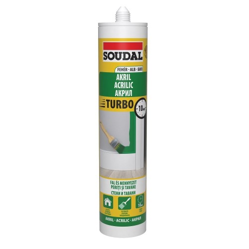 Mastic acrilic Express, alb, 280ml Mastic acrilic Express, alb, 280ml