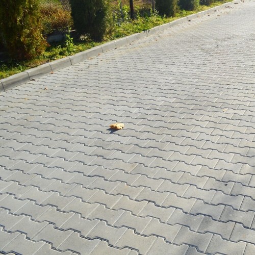 Pavaj WISE H Beton 100 mm Gri deshis Pavaj WISE H Beton 100 mm Gri deshis