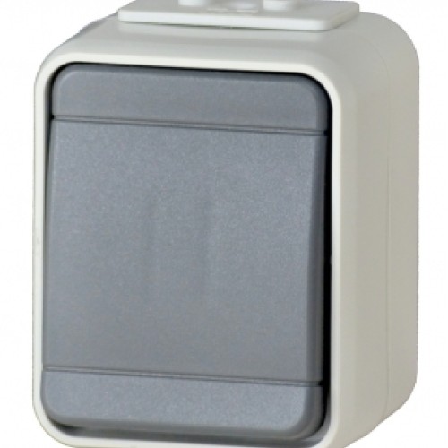 Buton cu revenire IP44, gri/gri