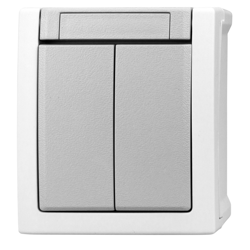 Buton dublu, 10A, PT, cleme elastice, IP54 Buton dublu, 10A, PT, cleme elastice, IP54